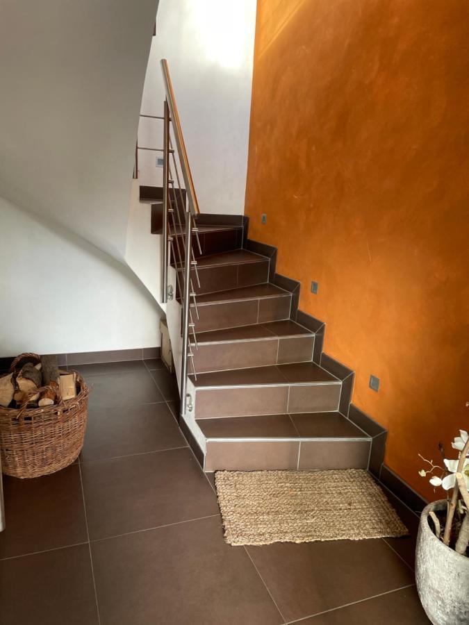 Nussbaum-nest Hausen (Rhon-Grabfeld)