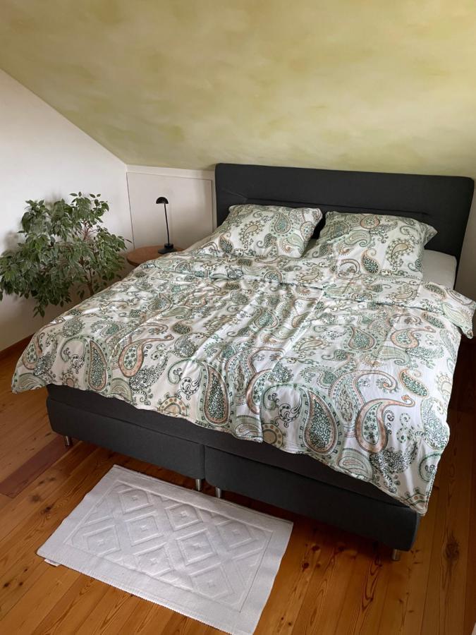 Nussbaum-nest Hausen (Rhon-Grabfeld)